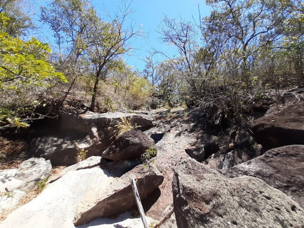 Big Farm: Property of 231 hectares in the Salto de Bagaces - Gallery image 10