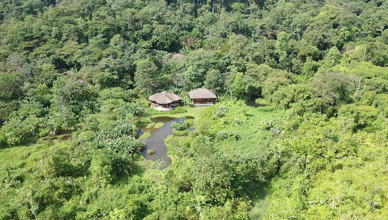 60 Acre Fully Sustainable and Impactful Conservation Initiative Near Golfito: Mountain Multi Unit Building For Sale in Golfito - Gallery image 18