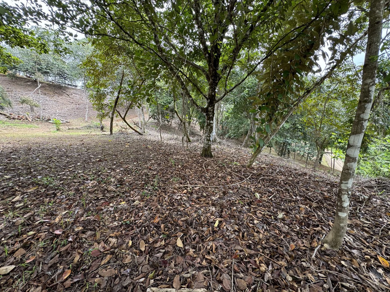 Diamante Waterfall View Land in Dominical 2.9 Acres - Gallery image 26