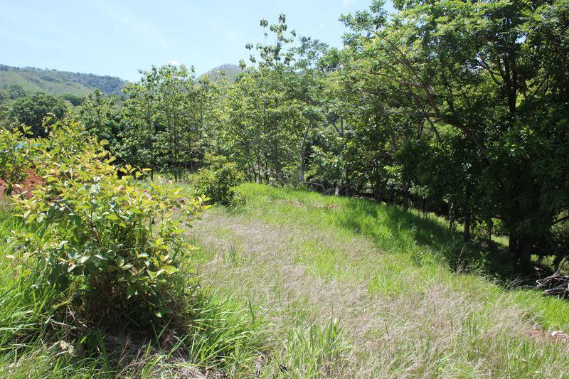 Lotes Alto Domingo - 5 Spacious Residential Lots with Forest and Mountain Vistas, Just 10 Minutes from the Beach: Mountain Home Construction Site For Sale in Sámara - Gallery image 11