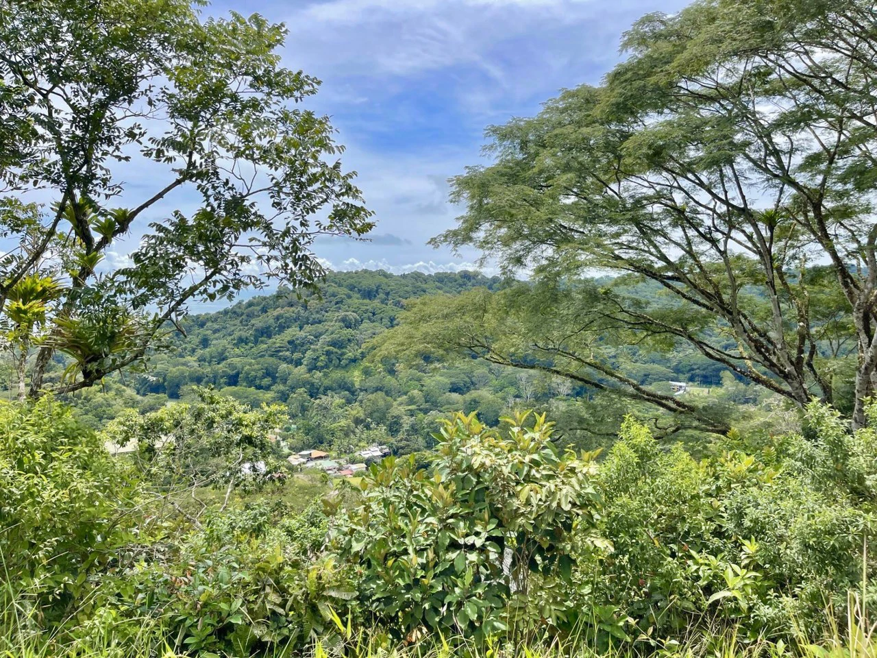 1.75 ACRES – Amazing Ocean View Lot, Gated Community, Legal Water, Minutes From Dominical And Beach!!!!: Near the Coast and Mountain Home Construction Site For Sale in Dominical - Gallery image 9