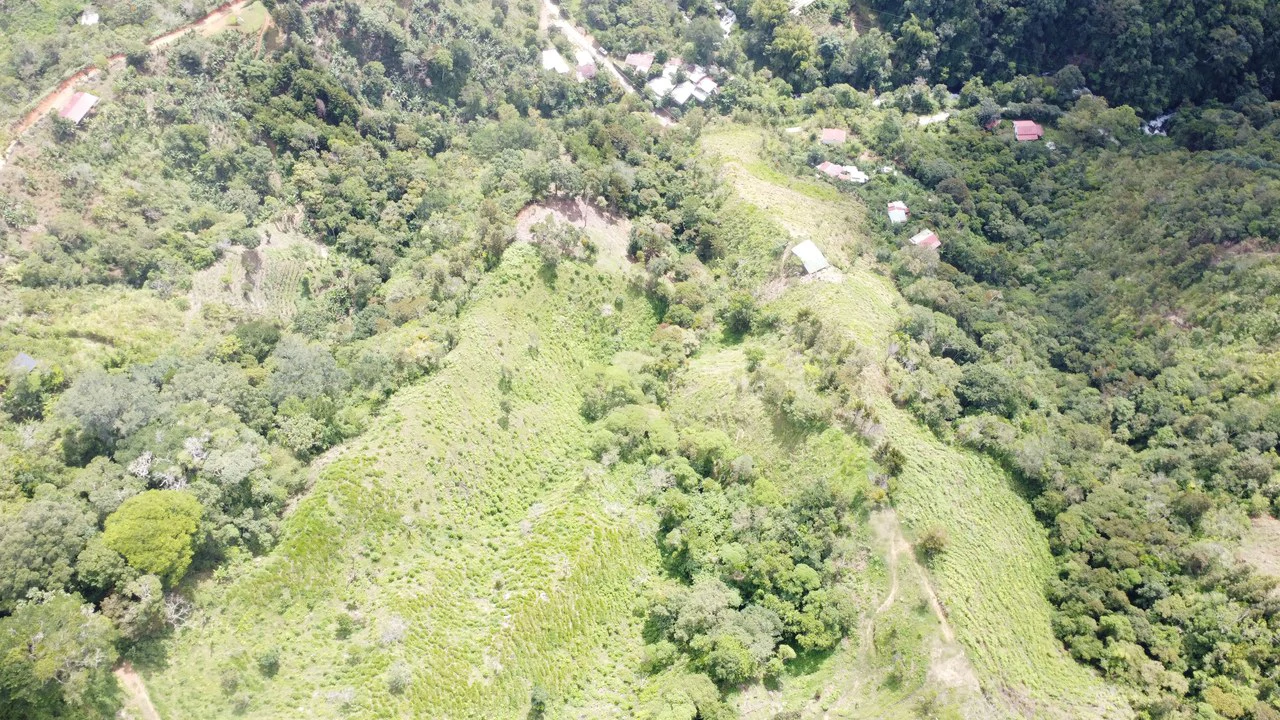 LOTE EN HERRADURA RIVAS.: Mountain Agricultural Land For Sale in San Isidro del General - Gallery image 3