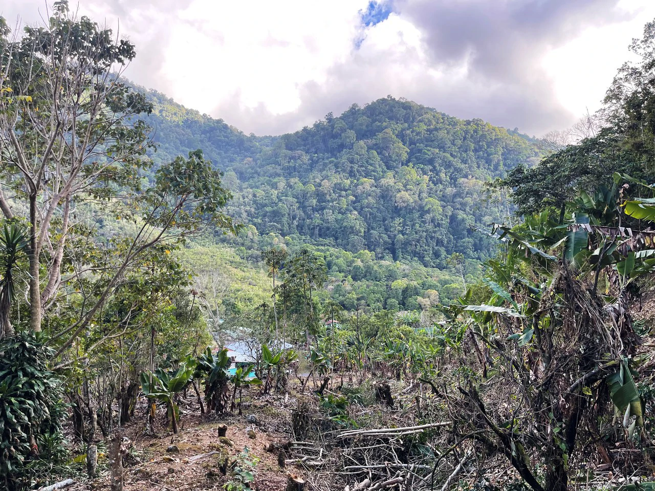 Canaan de Rivas 10 acres Above San Isidro - Gallery image 19