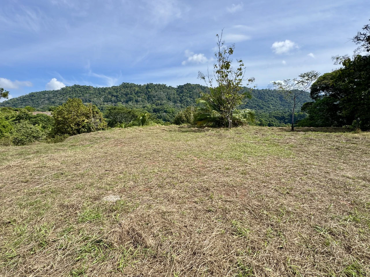 5.7 ACRES – The Best Ocean View Developement Property In Southern Costa Rica!!! - Gallery image 8