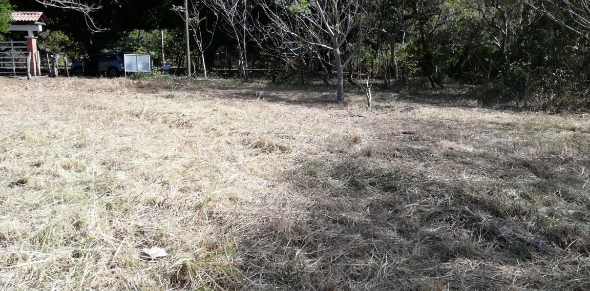 Property in Coco Beach - Gallery image 7