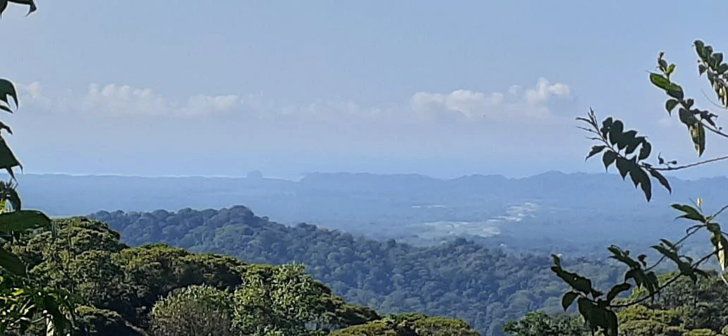 SECLUDED PARADISE WITH STUNNING VIEWS, WATERFALLS & ABUNDANT WILDLIFE - Gallery image 4