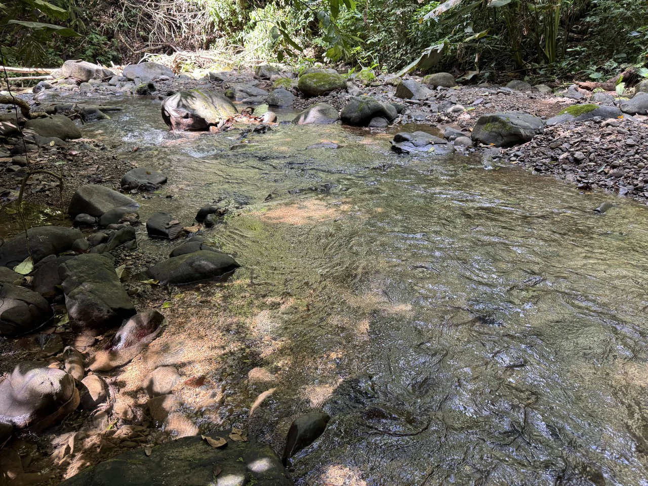 23.5 Acre Waterfall & Riverfront Estate Bahia Ballena Osa Peninsula - Gallery image 7