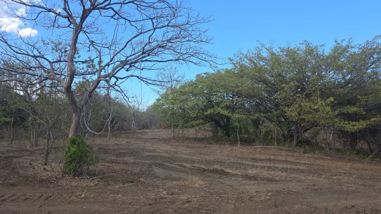 Huge Commercial Property Near Liberia Airport, Guanacaste, Costa Rica - Gallery image 4