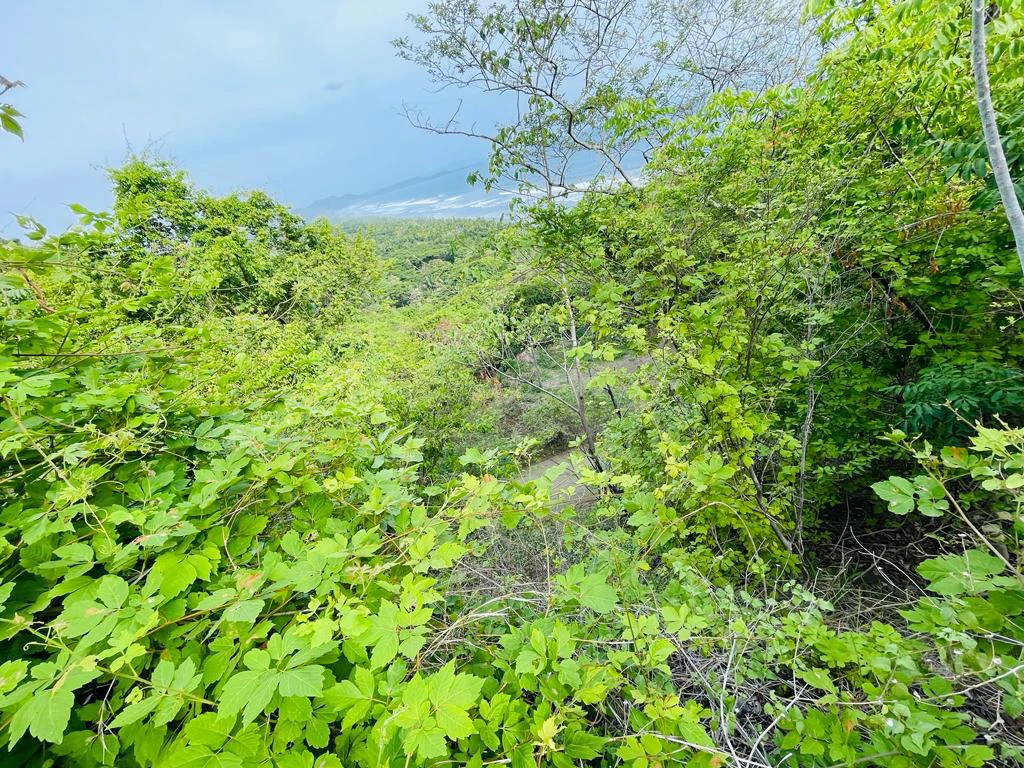 Ocean view lot for sale San Miguel beach Coyote Costa Rica - Gallery image 6