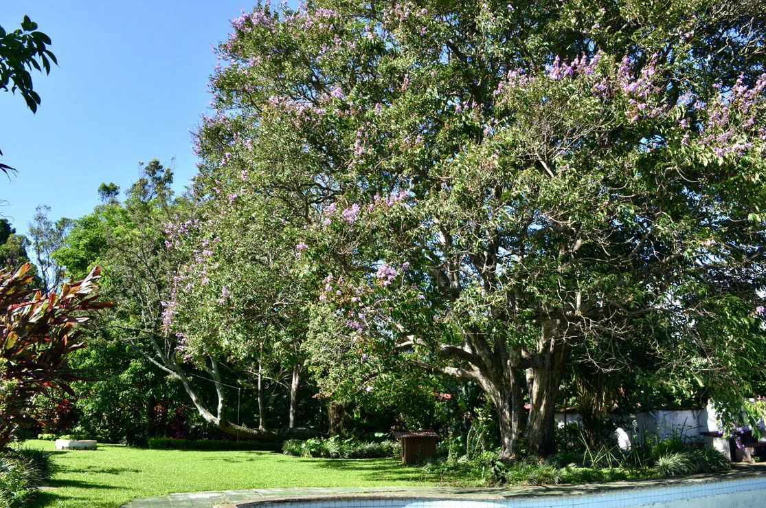 Commercial lot for sale in Santo Domingo, Heredia - Gallery image 8