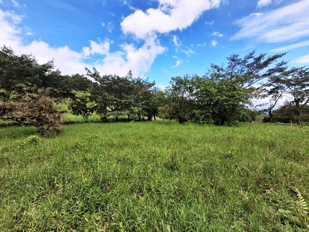 INVESTOR & DEVELOPER ALERT: High-Visibility Investment Property in the Heart of Tourist-Friendly Zarcero - Gallery image 12
