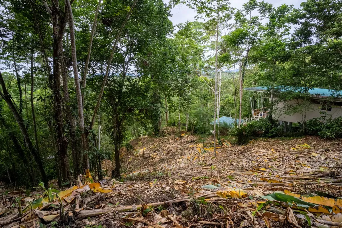 ID 1084: 5,500 sqm Lot with Mountain View in Iriria 1, Punta Uva - Gallery image 3