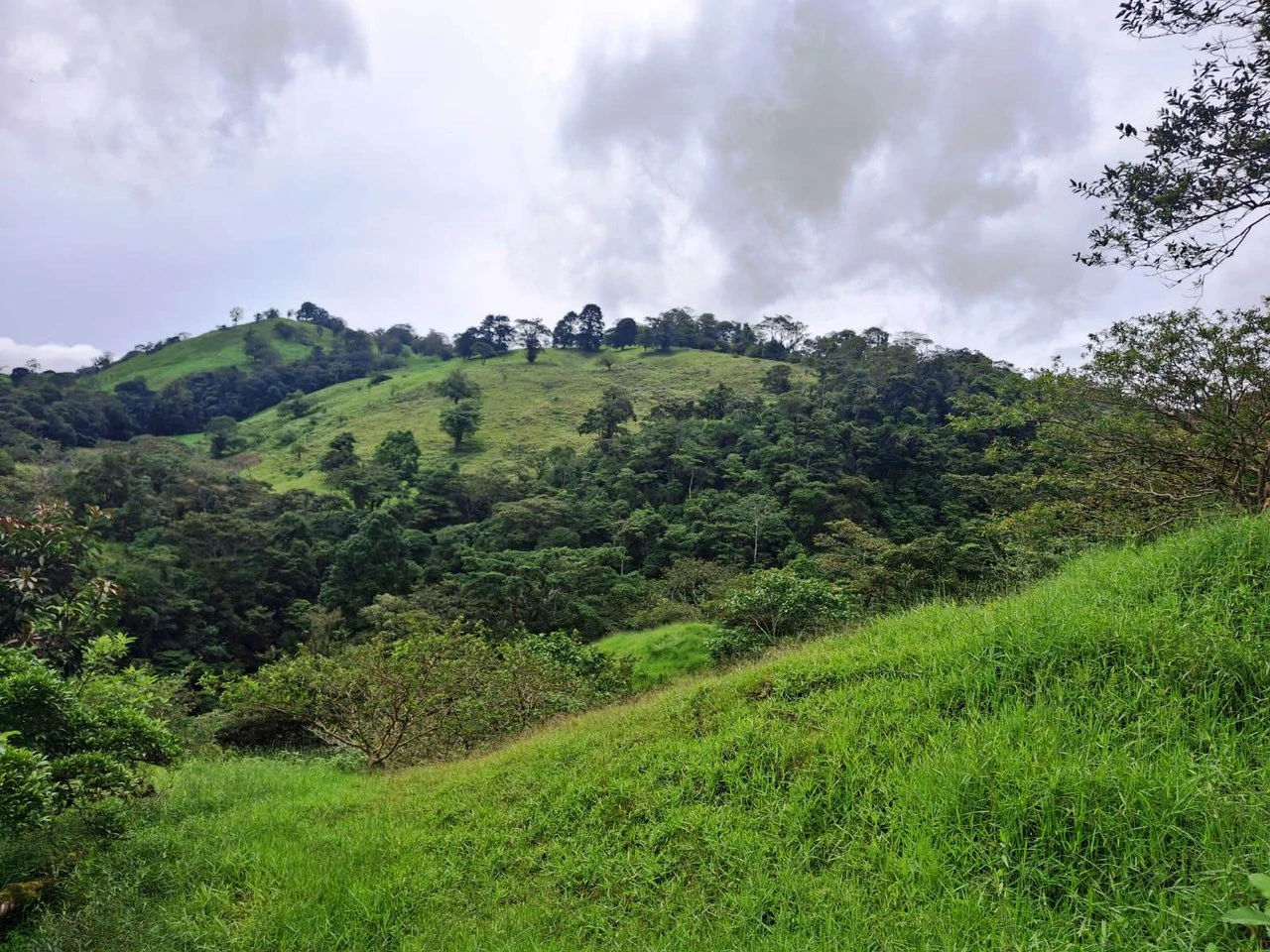 INVESTOR & DEVELOPER ALERT: High-Visibility Investment Property in the Heart of Tourist-Friendly Zarcero - Gallery image 14