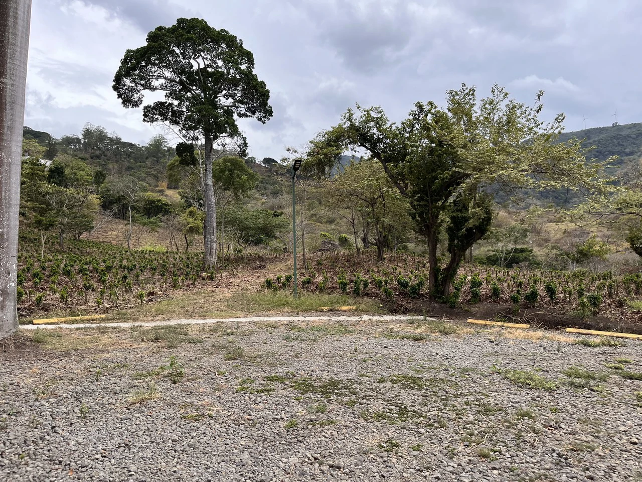 Propiedad para Desarrollo Inmobiliario, en Venta, Río de Oro, Santa Ana: Mountain Development Parcel For Sale in Rio Oro - Gallery image 3