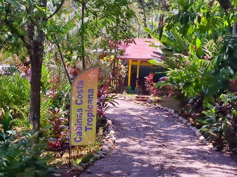 8 Cabinas with Swimming Pool on Lush Jungle Property in Uvita - Gallery image 3