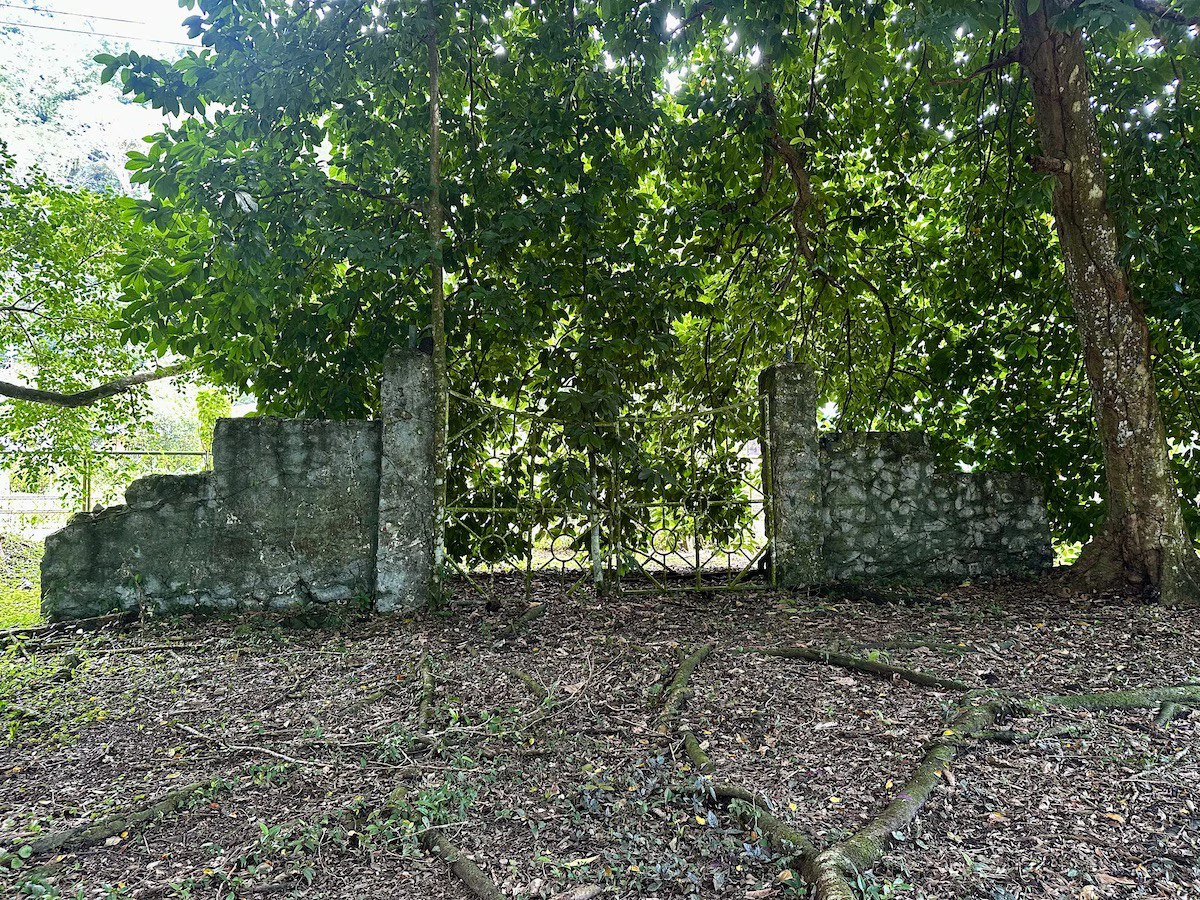 Titled Waterfront Property Golfito Bay - Gallery image 17
