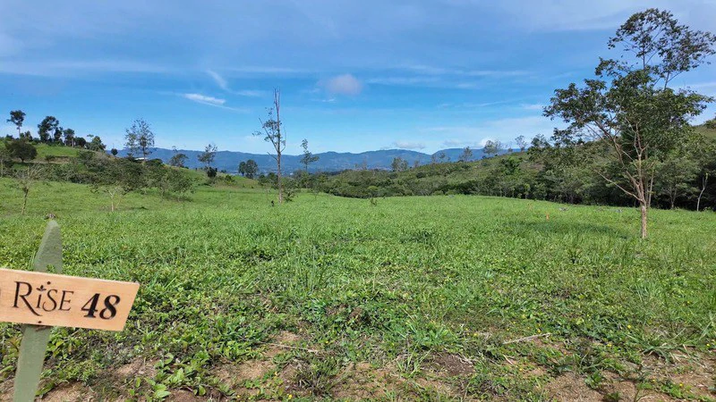 lote 48 RISE: BEAUTIFUL LOT FOR SALE IN THE HEART OF RISE COSTA RICA WITH CREEK (63,475 SQFT) - Gallery image 8