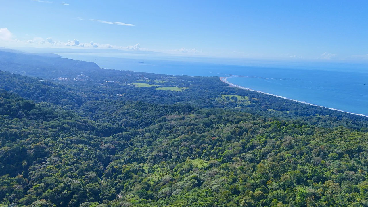 Selva Vista Estate: 5.9 Acres of Wild Beauty - Gallery image 3