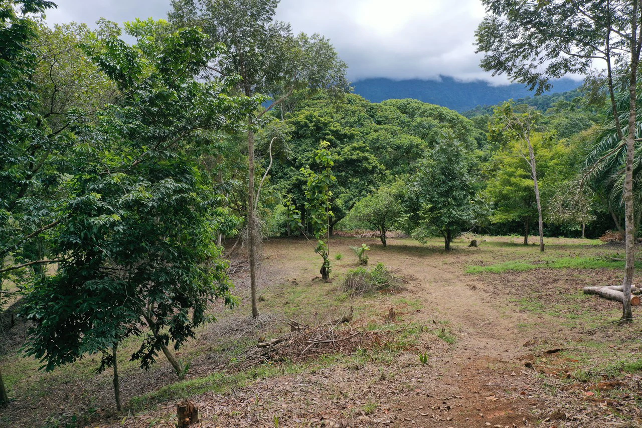 Diamante Waterfall View Land in Dominical 2.9 Acres - Gallery image 6