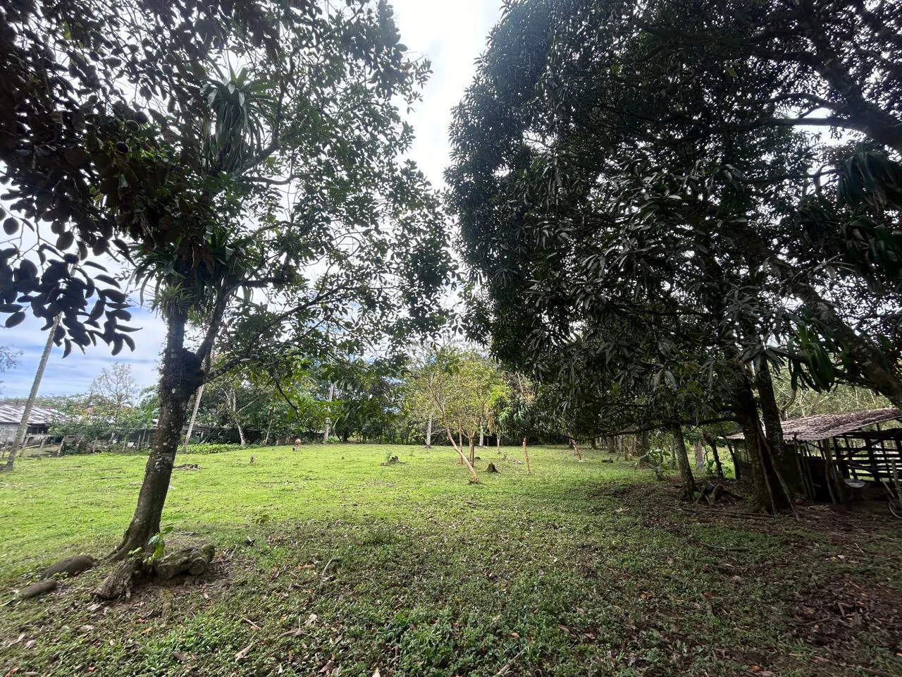 Land for Sale 4803 m2: Over 1 acre beautiful flat land Ready to build with electricity, small creek from spring. - Gallery image 11