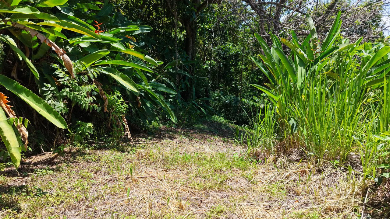Near the Coast Home Construction Site For Sale in Ciudad Cortés - Gallery image 15