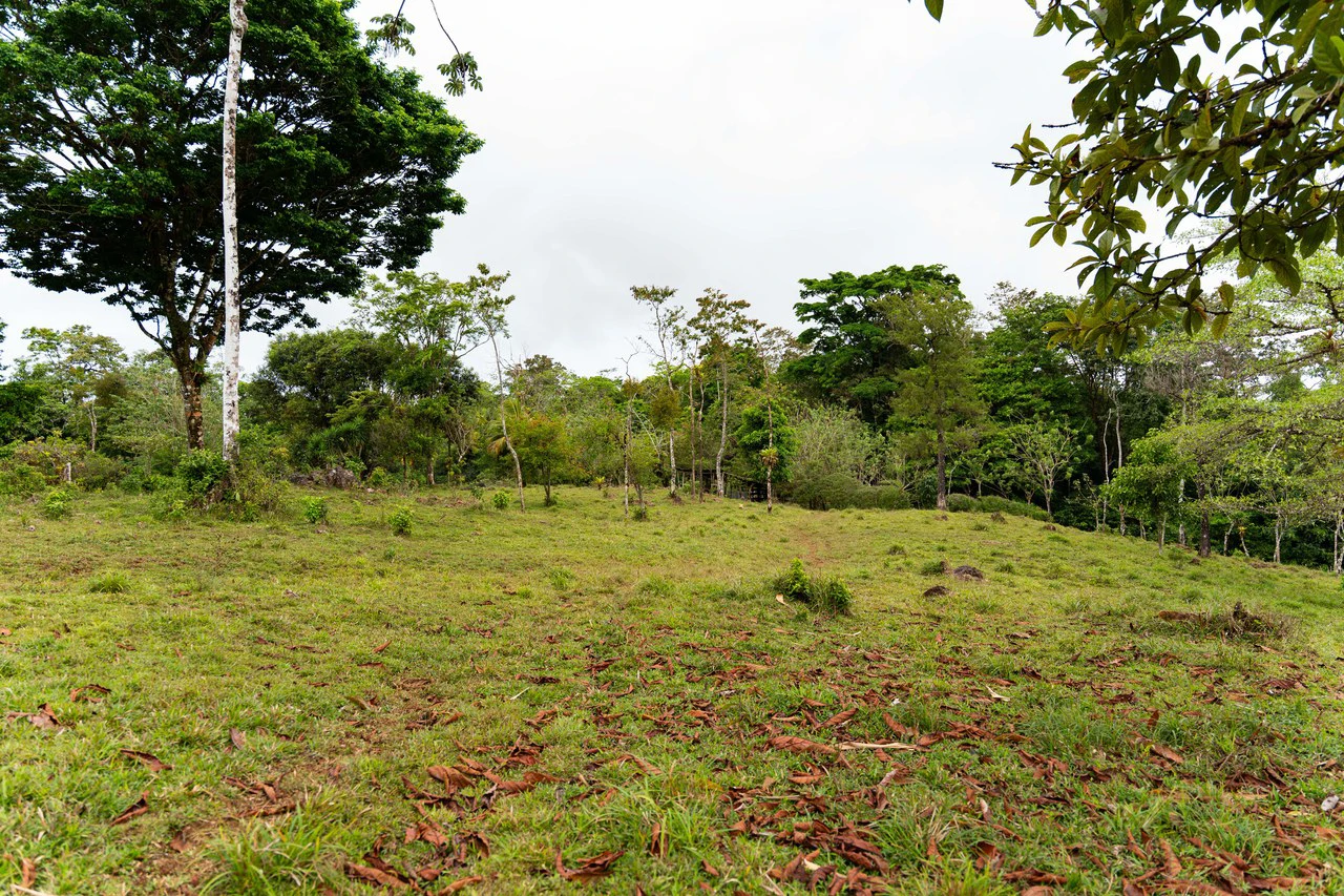 Finca Las Zompopas-Río Celeste: 113-Acre Biodiverse Property in Bijagua, Ideal for Eco-Tourism, Private Retreats, or Sustainable Development - Gallery image 2