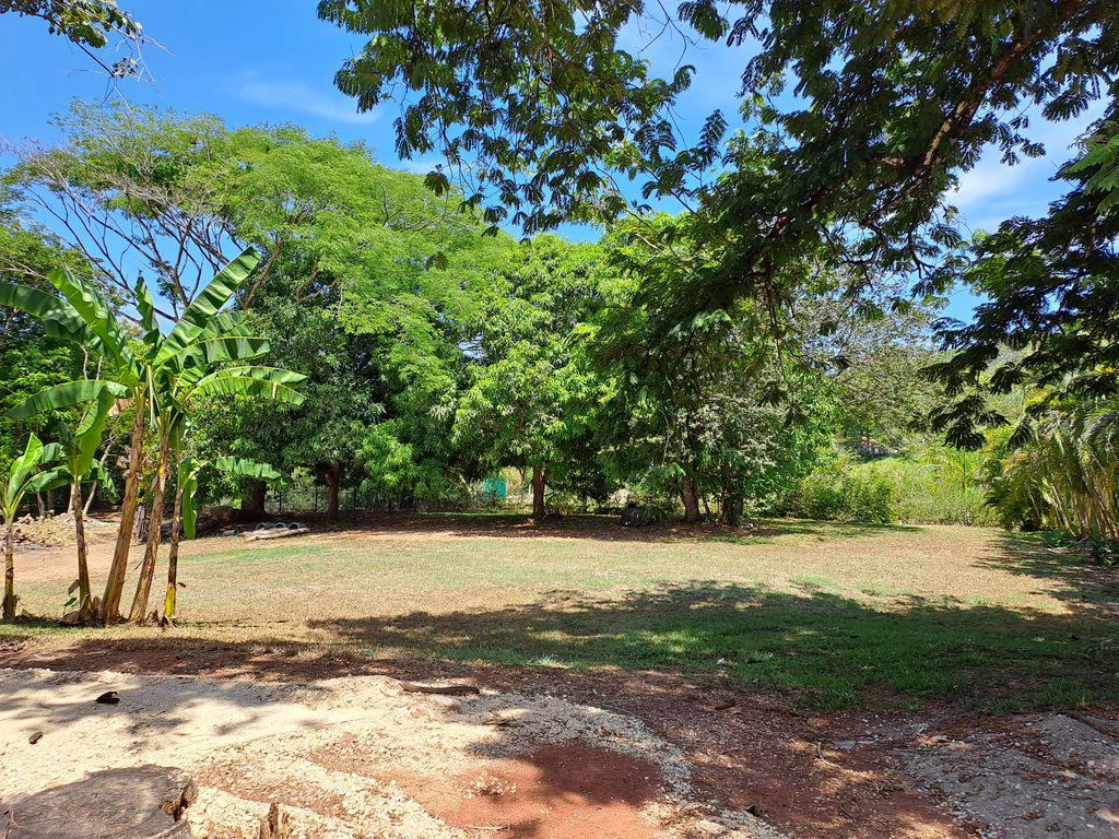 Compound Cooper: Compound Cooper includes Casa Cooper - a Newly constructed in 2023 - 2 Bedroom 1 Bath home set on a spacious 703 m2 lot and Lote Cooper which is 2485 m2 of flat buildable land - both - Gallery image 25