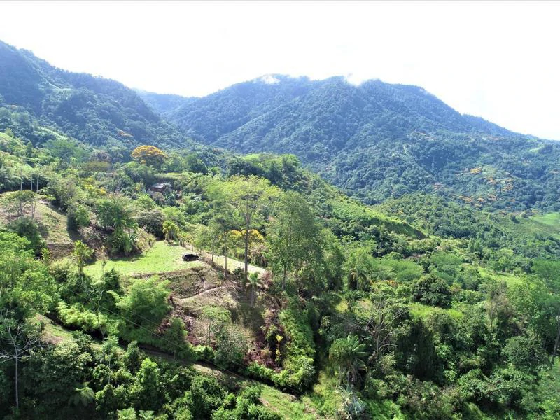 Captivating 3.15-Acre Property: Huge Pricedrop! Firesale Oceanview Lot in Tres Rios - Gallery image 4