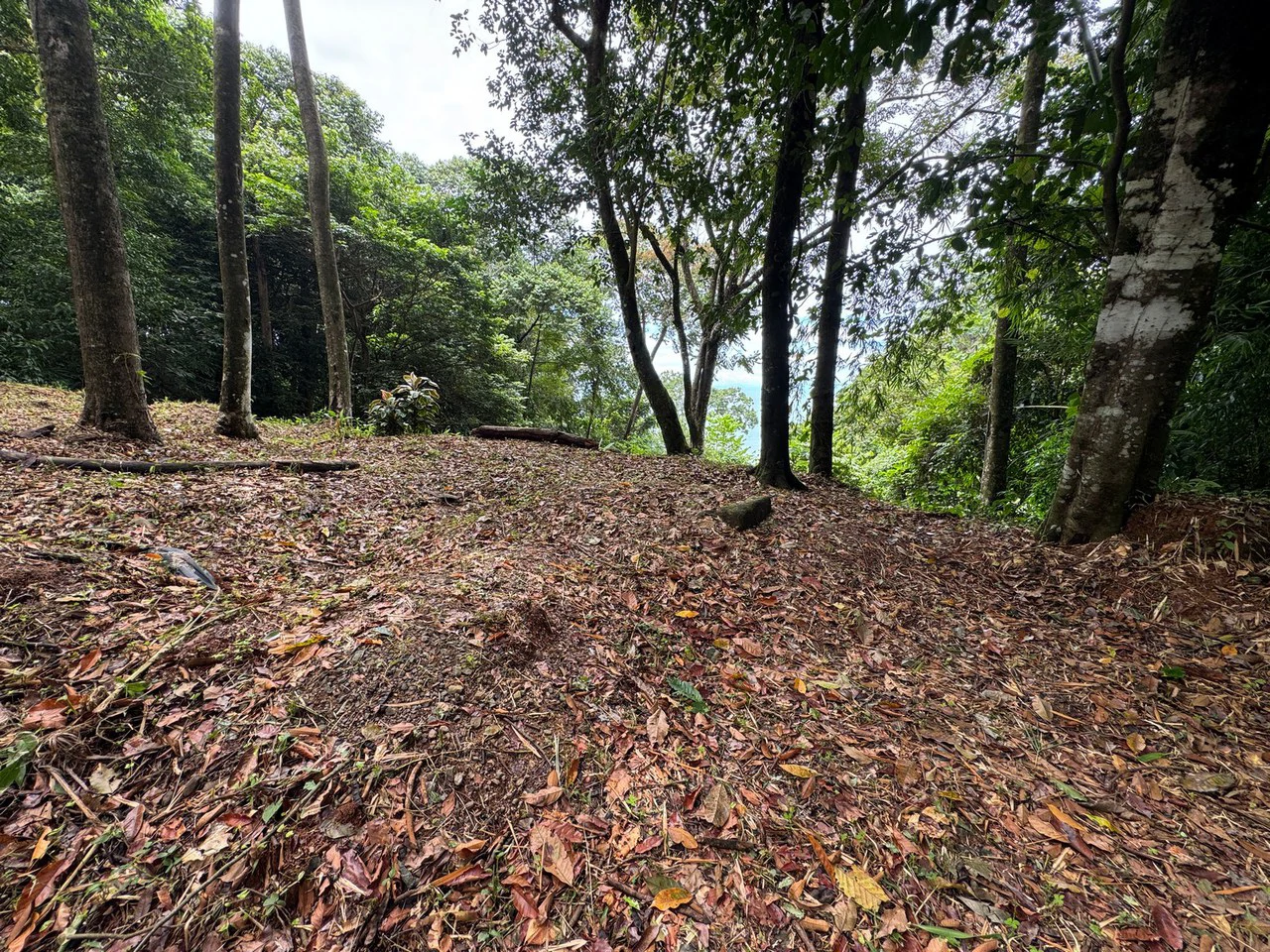 0.25 ACRES – Affordable Ocean View Property With Easy Access And Legal ASADA Water!!! - Gallery image 6