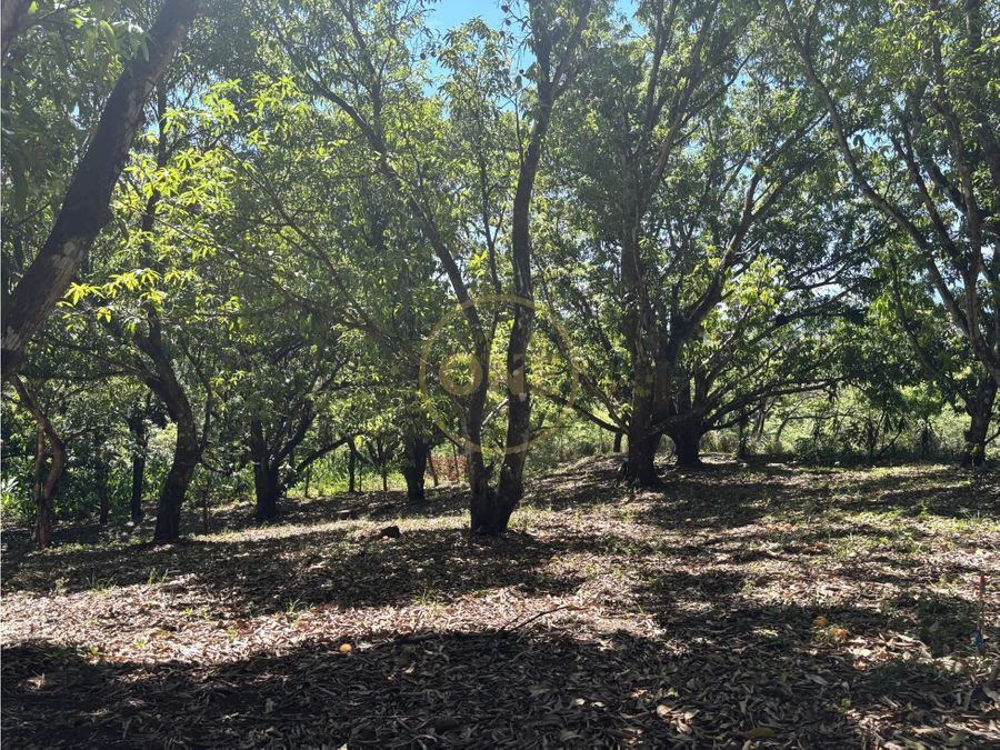 FOR SALE / Land in Coyolar, Orotina, Alajuela - photo 5