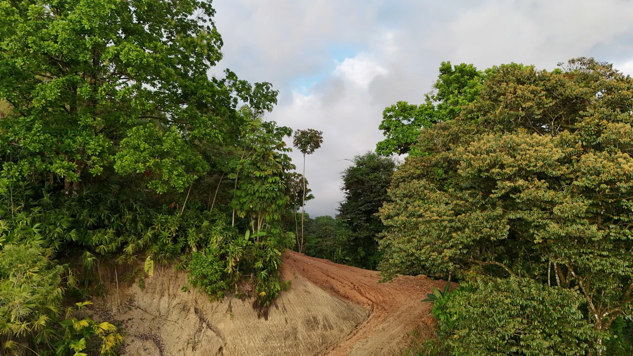 Stunning Ocean and Terraba River view property in Ojochal - Gallery image 33
