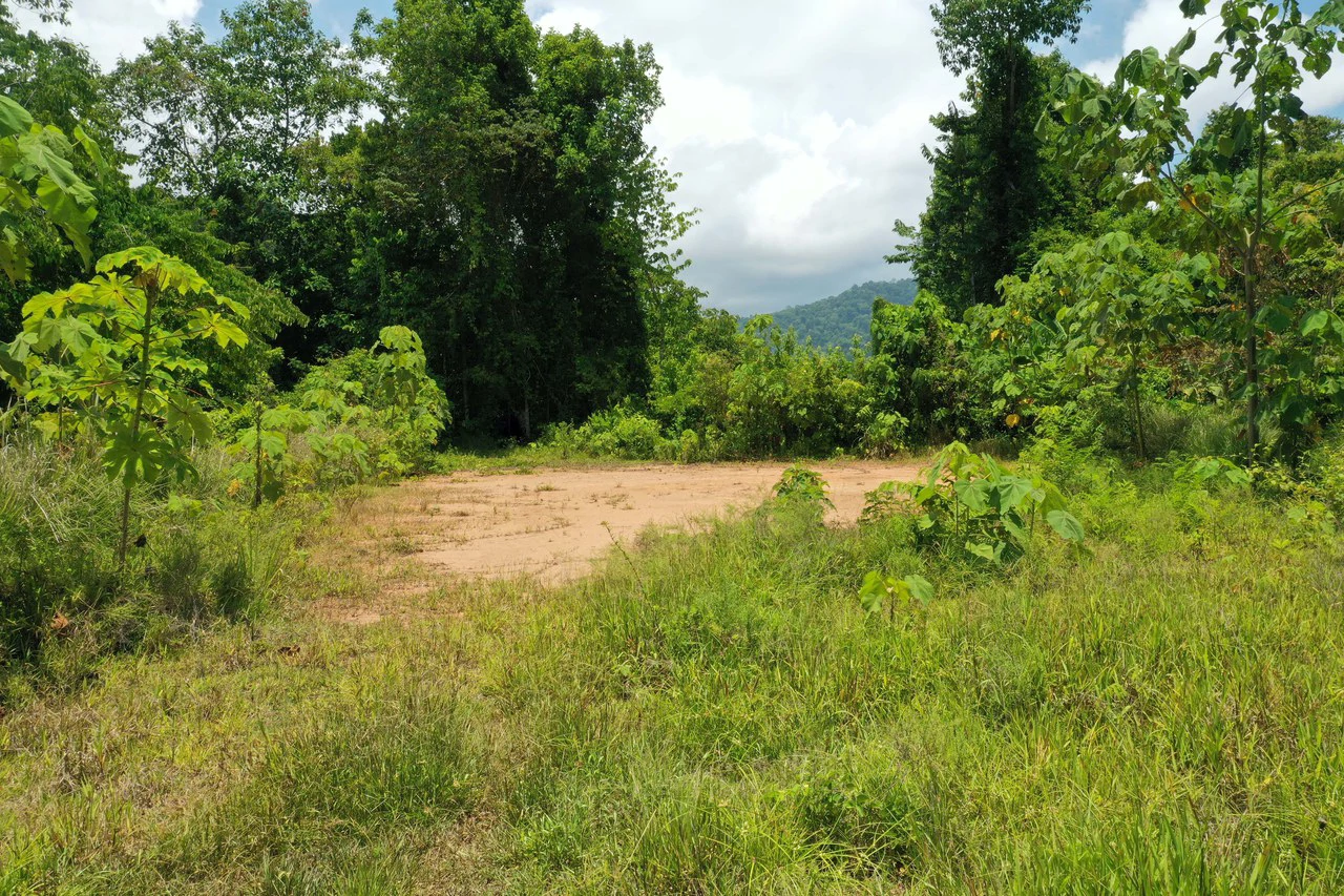 Mountain Mixed Use Building For Sale in Savegre - Gallery image 25