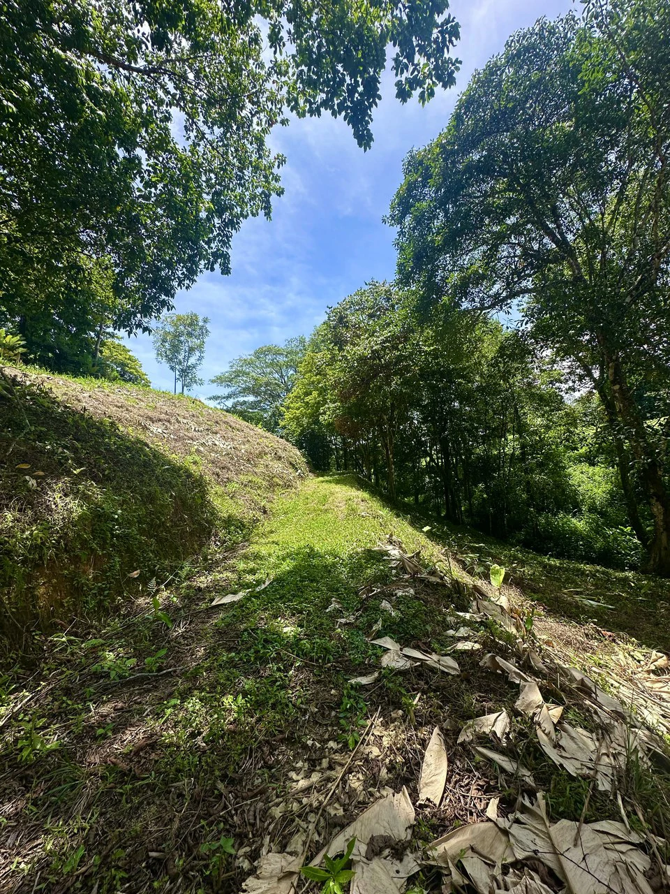 Build-Ready Lot in Ojochal’s Calle Cacique | Easy Access & Stunning Mountain Views - Gallery image 7