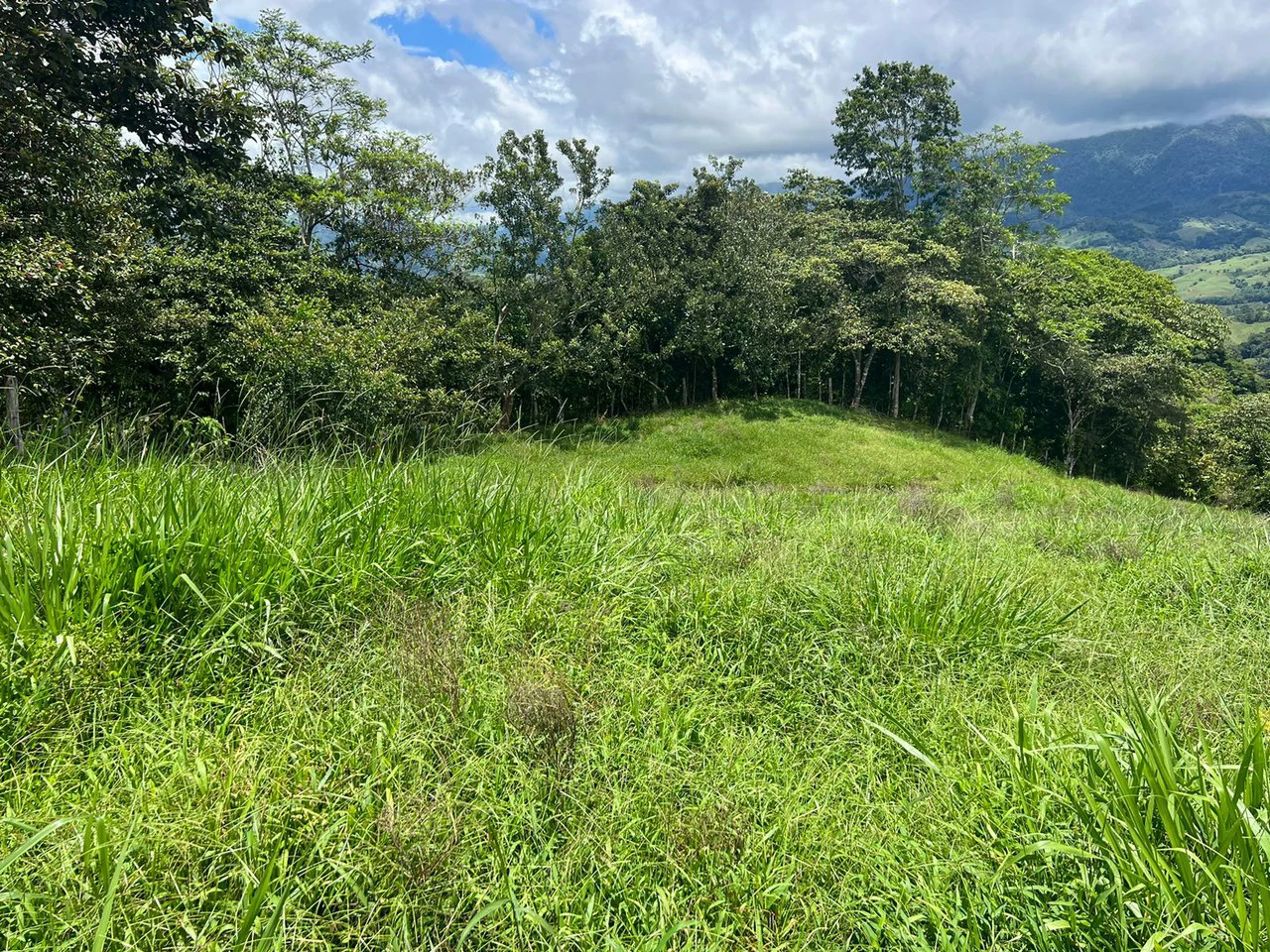 47 ACRES – Beautiful Mountain View Farm With Many Water Sources and Many Building Areas!!!! - Gallery image 5