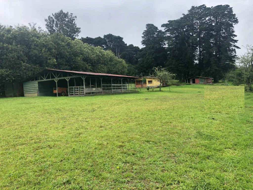 Horse ranch mountain farmland with its own stable's in San Rafael, Heredia - Gallery image 6