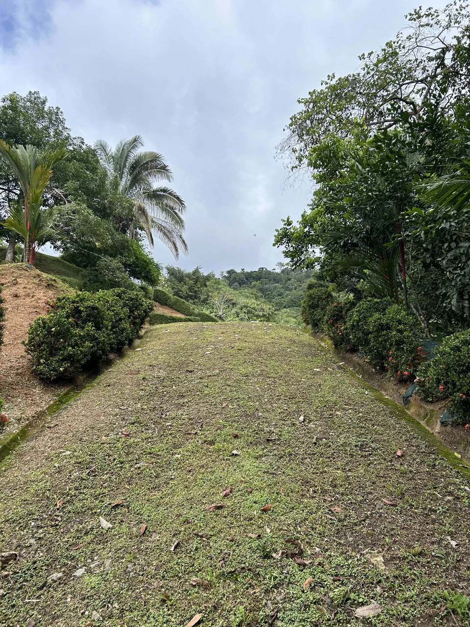 Playa Hermosa: Two Locations to Build, Permits Ready - Gallery image 30