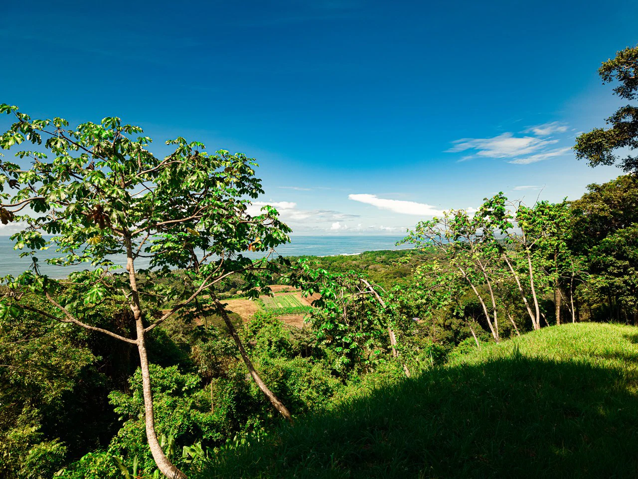 Front Row Ocean View Property with a Private Waterfall in Dominical - Gallery image 19