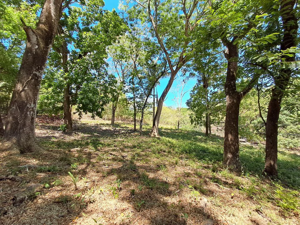 Lote Del Bosque: Buildable Lot with Mountain Views – Prime Location in Playa Carrillo - Gallery image 5