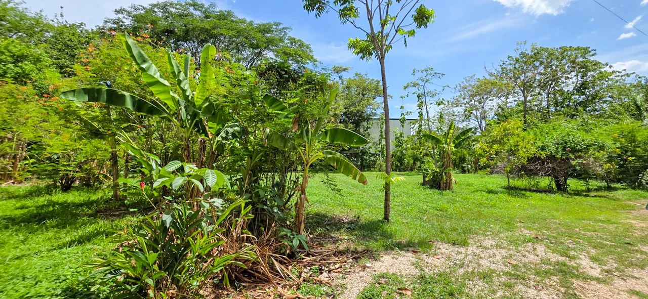 Casa Amaya: Charming House With Large Lot In Nosara - photo 22