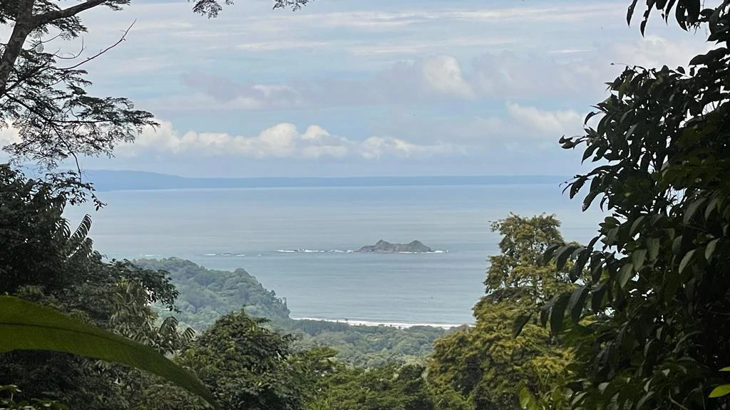 Eduardo Lee 17 Acres: Mountain Agricultural Land For Sale in Bejuco - Gallery image 6