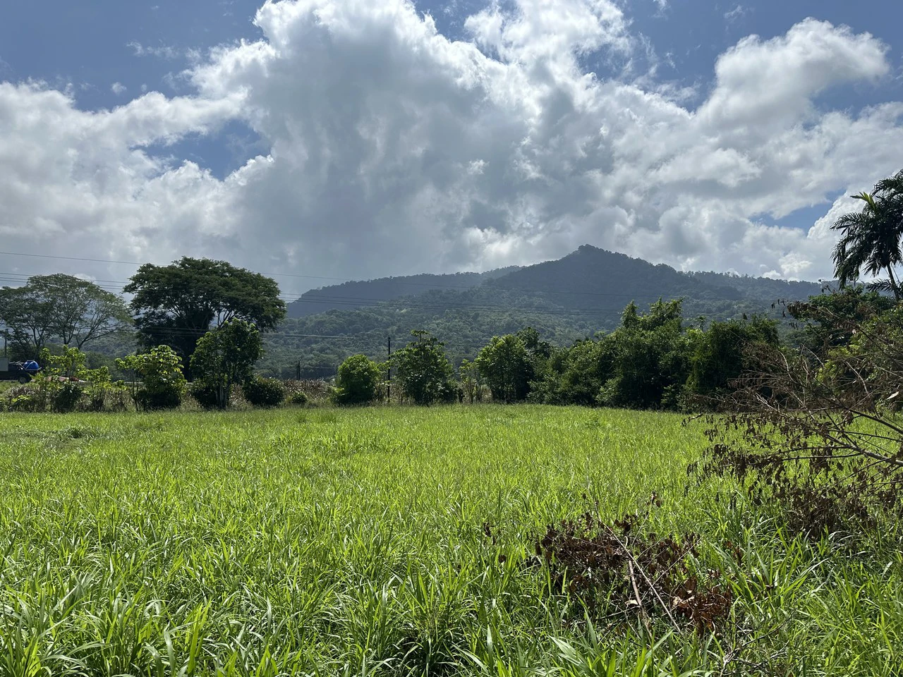 Development Parcel For Sale in Portalon - Gallery image 11