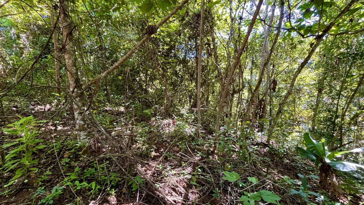Home Construction Site For Sale in Pavones - Gallery image 12