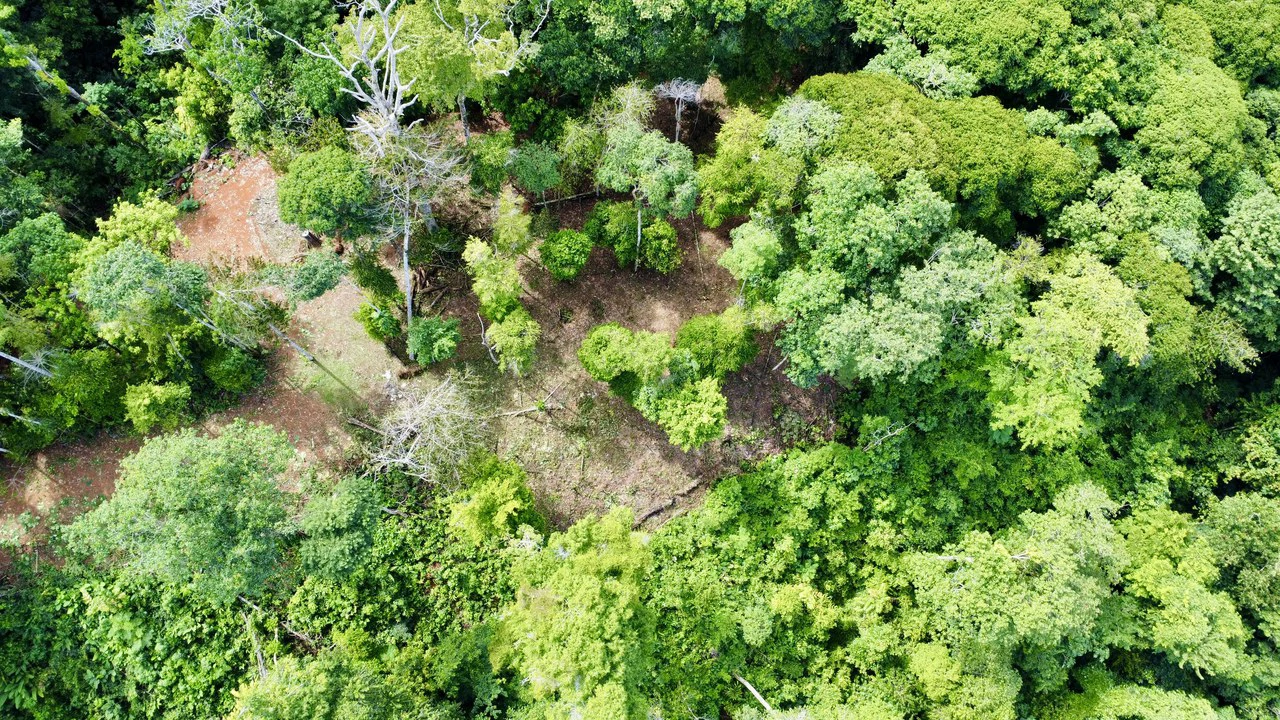 Marvelous Ocean View Parcel in Uvita. - Gallery image 8