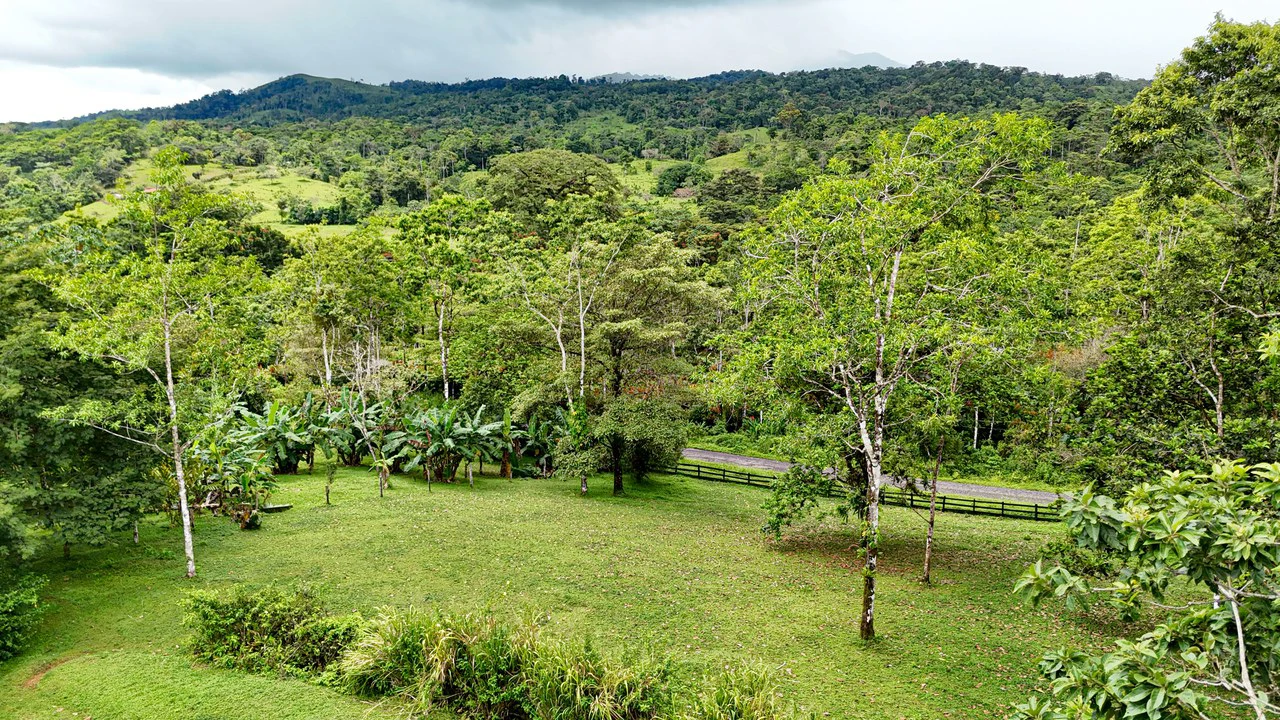 Finca Macadamia: 154-acre Rainforest Paradise with two Houses and Trails! - Gallery image 17