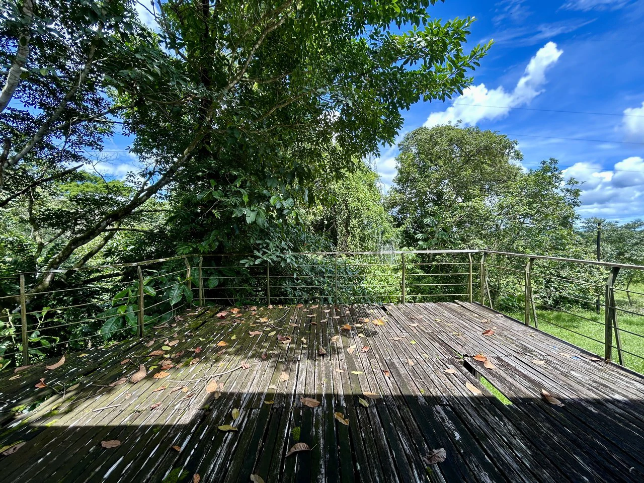 Fixer-Upper Home with an studio Office in Palmar Norte on a 7.58 Acres Property - Gallery image 51