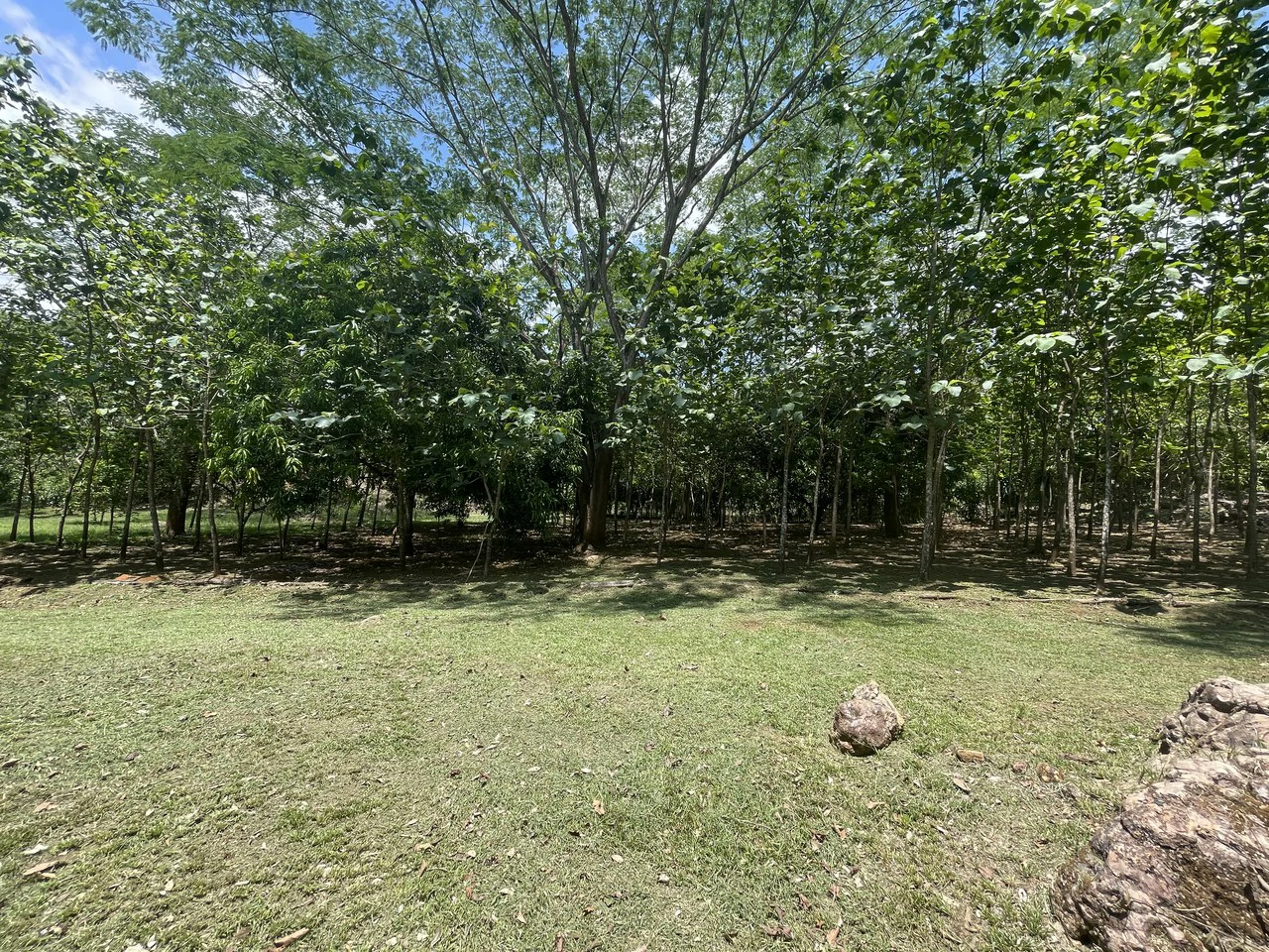 Property for Sale San Mateo - Gallery image 7