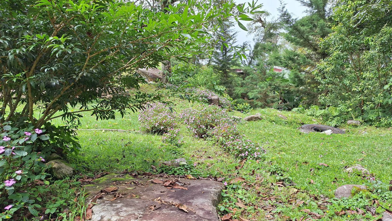 Propiedad en cedral: Mountain Home Construction Site For Sale in Cajón - Gallery image 7