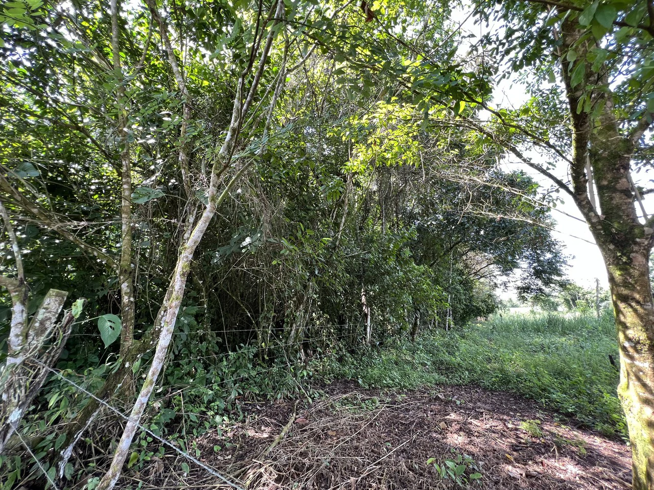 Countryside Home Construction Site For Sale in Convento - photo 4