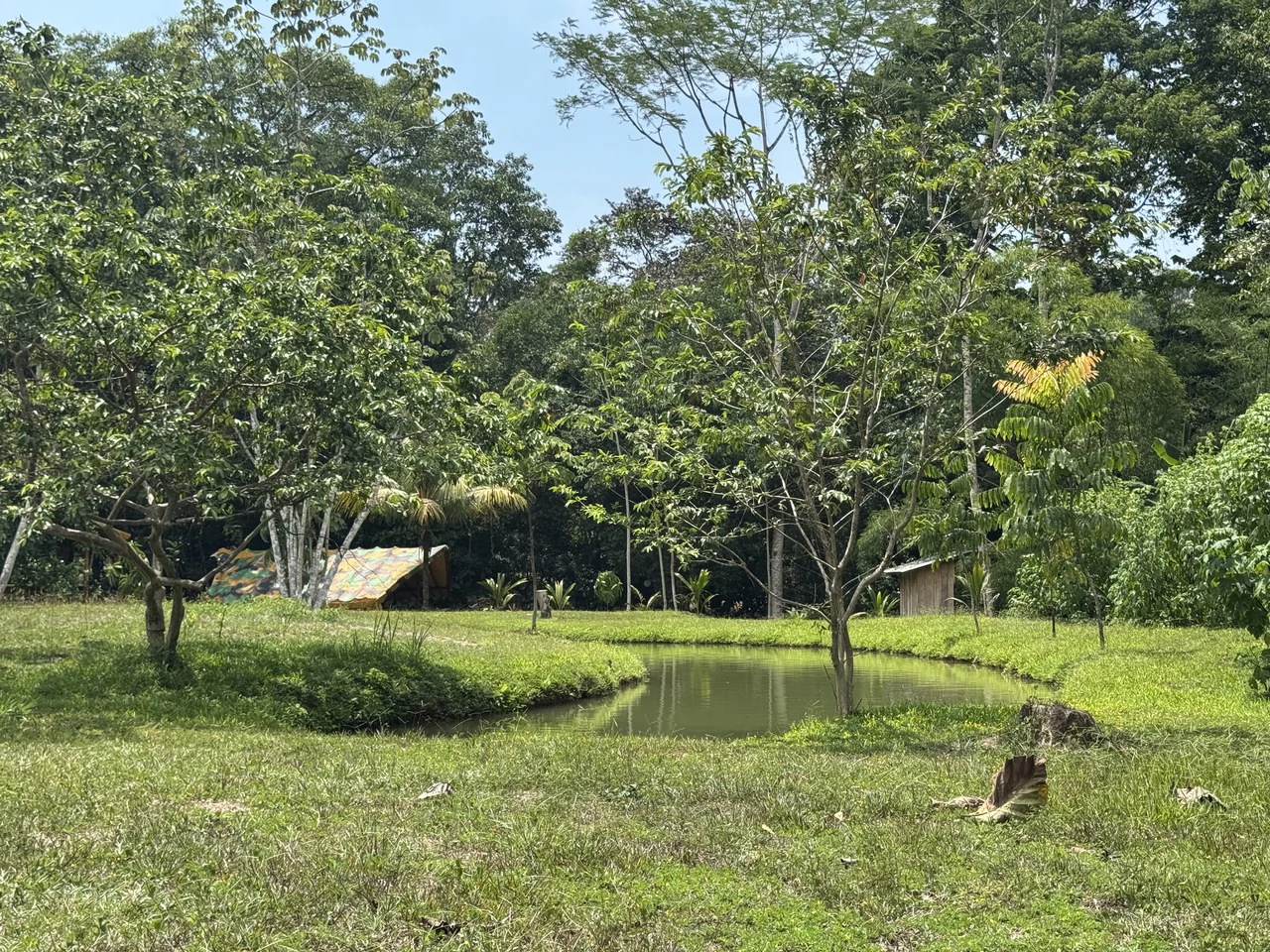50 Acre Waterfall and River Paradise Above Dominical - Gallery image 35