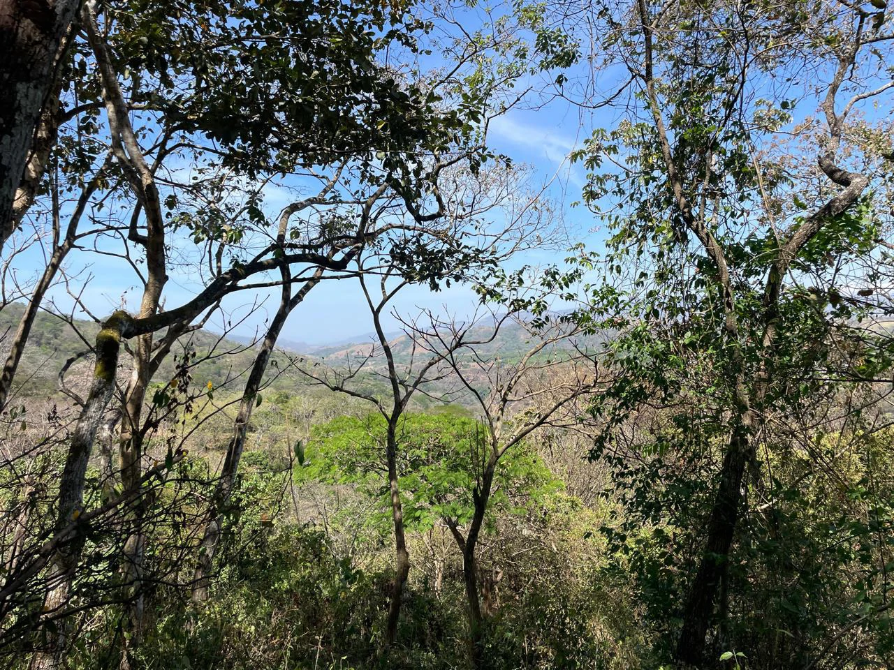 Ocean view property for sale Rodeo Ciudad Colon San Jose Costa Rica - Gallery image 22